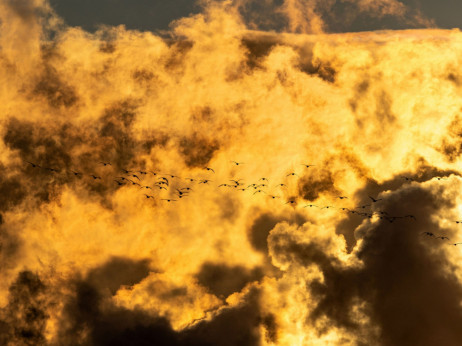 Klimatske politike bi mogle da izazovu društvene nemire, upozorava nemačka agencija